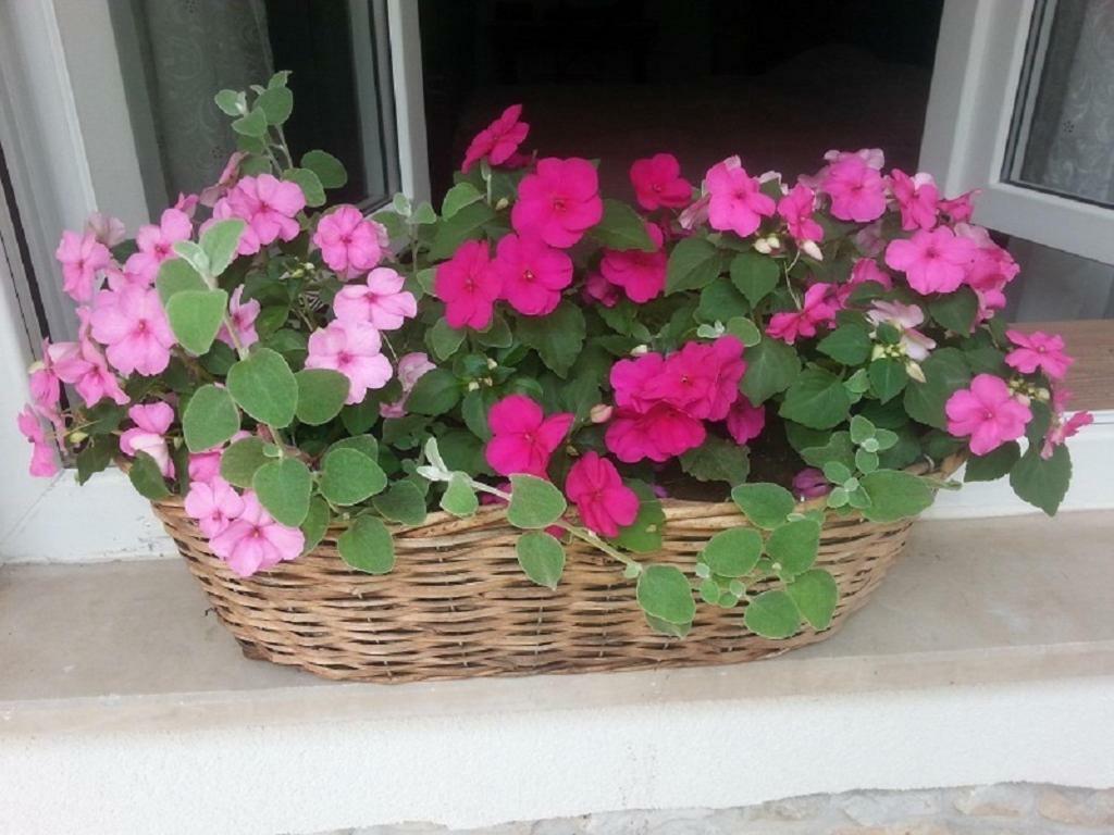 Rosa Apartman Crikvenica Luaran gambar